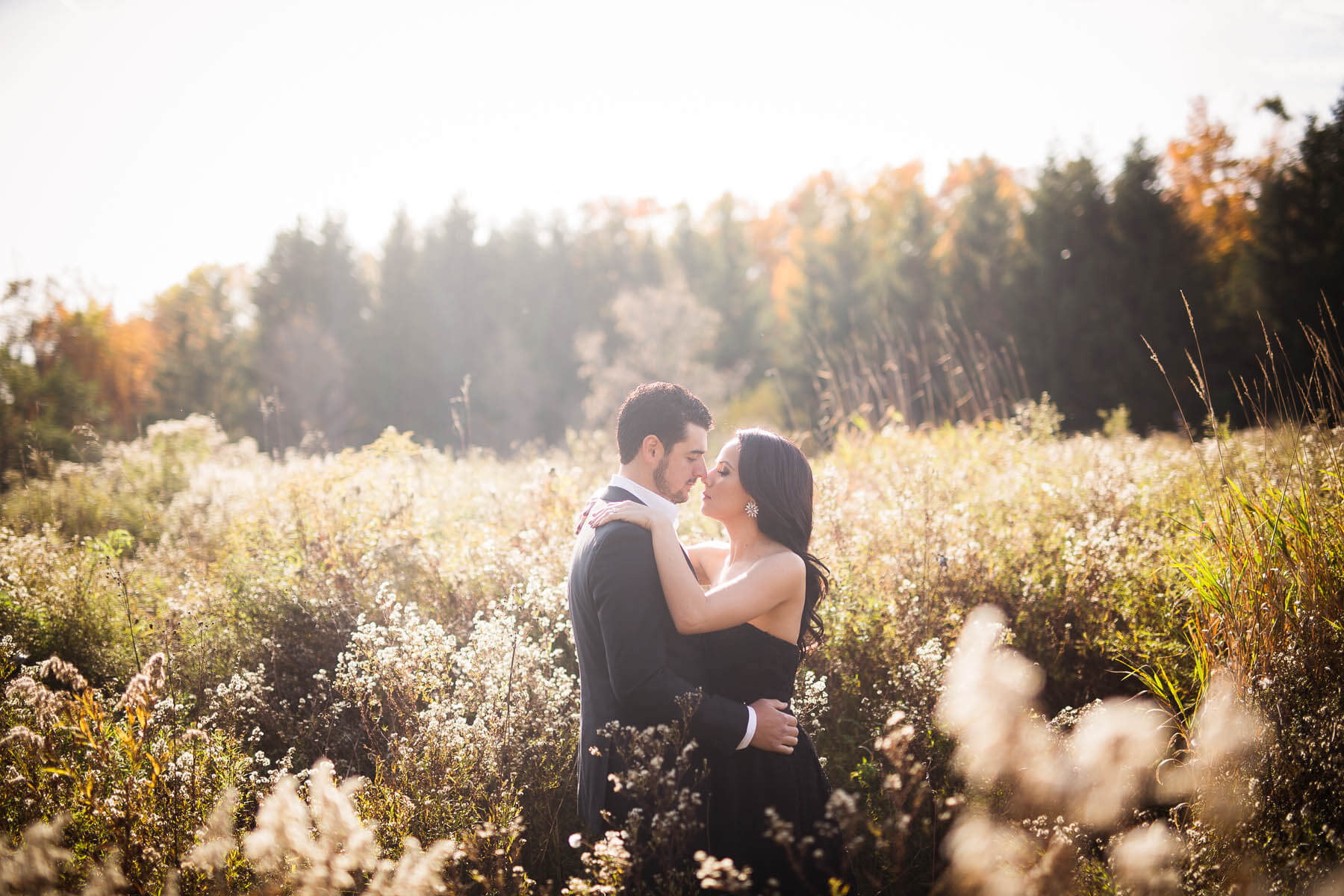 intimate Toronto engagement session in a field with dreamy sunlight 